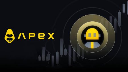 Como entrar em contato com o suporte da ApeX